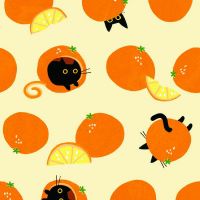 dsStella-DLW3577 Straw